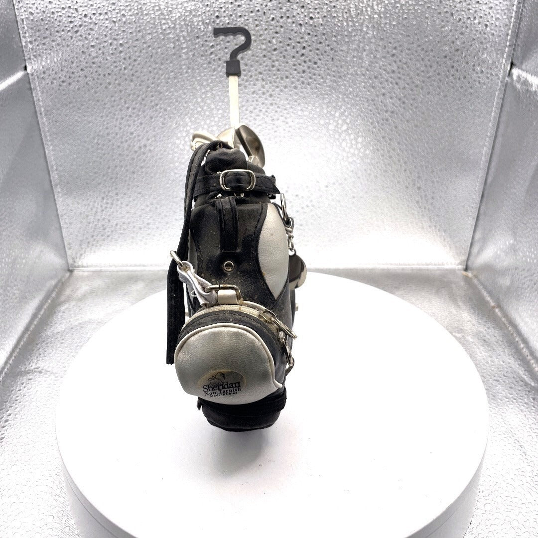 Sheridan Non Tarnish Golf Bag Pen Holder and Golf Club Pens front view