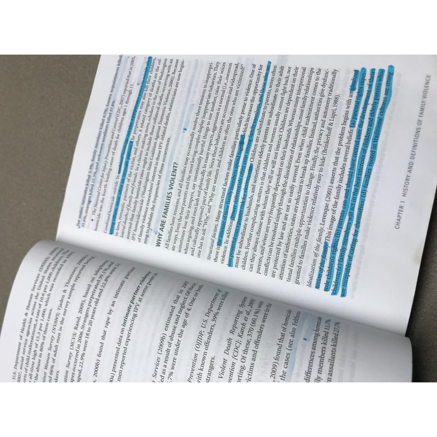 Family Violence across the Lifespan 3rd Ed. Barnett, Miller-Perrin, Perrin sample page some highlighting