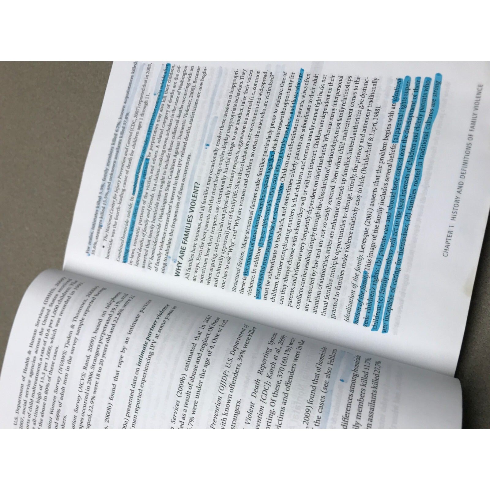 Family Violence across the Lifespan 3rd Ed. Barnett, Miller-Perrin, Perrin sample page some highlighting