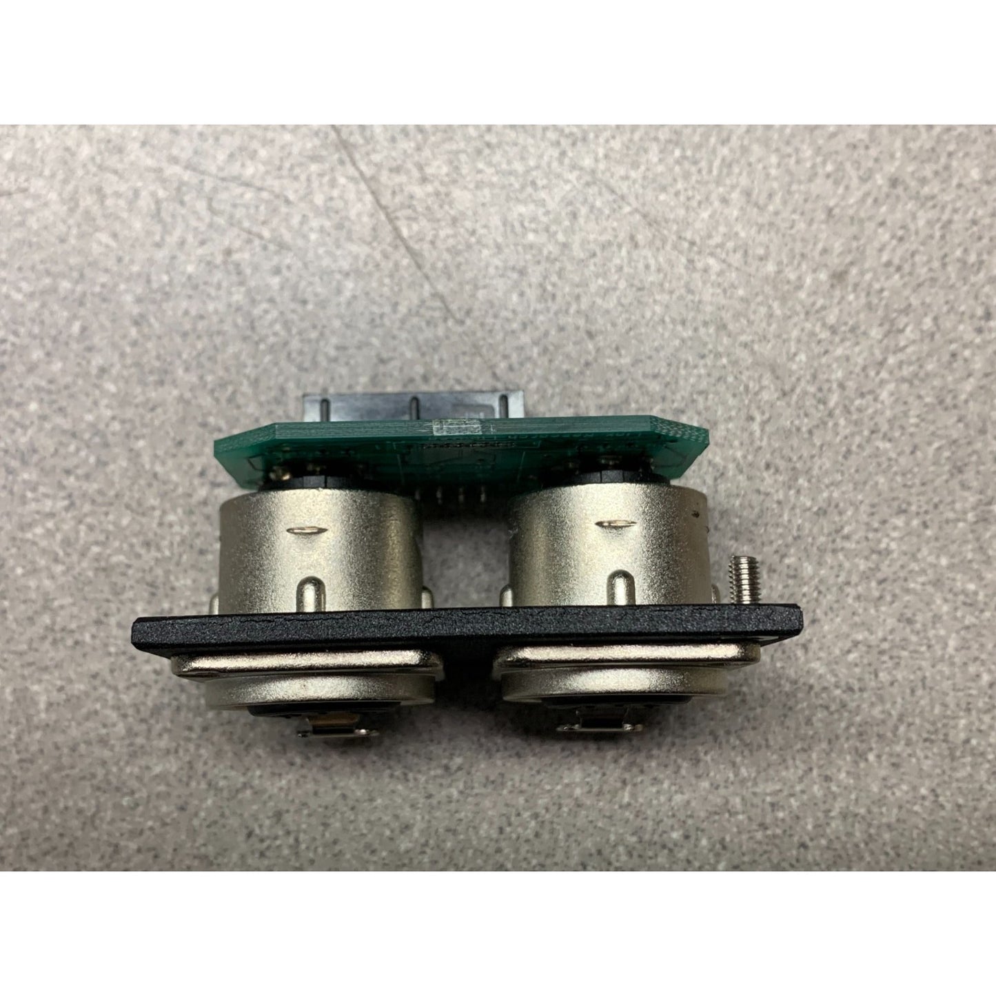Wavecom XLR Audio Dual Panel Mount Module (Dual 5 pin XLR Female) side view